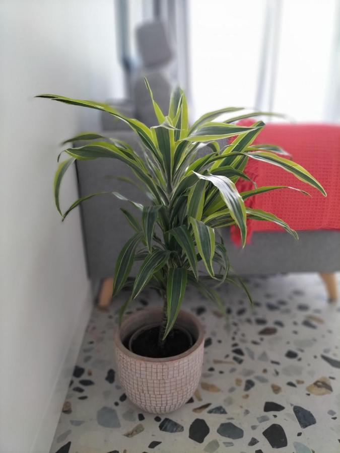 Apartament Casa Dos Minos Bruno Cangas do Morrazo Zewnętrze zdjęcie