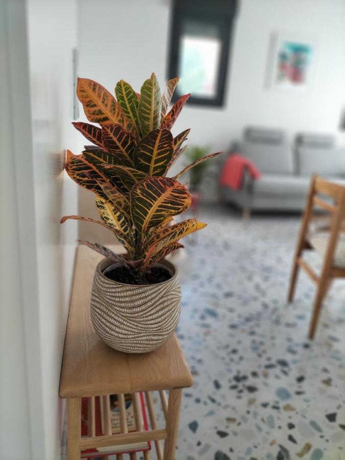 Apartament Casa Dos Minos Bruno Cangas do Morrazo Zewnętrze zdjęcie